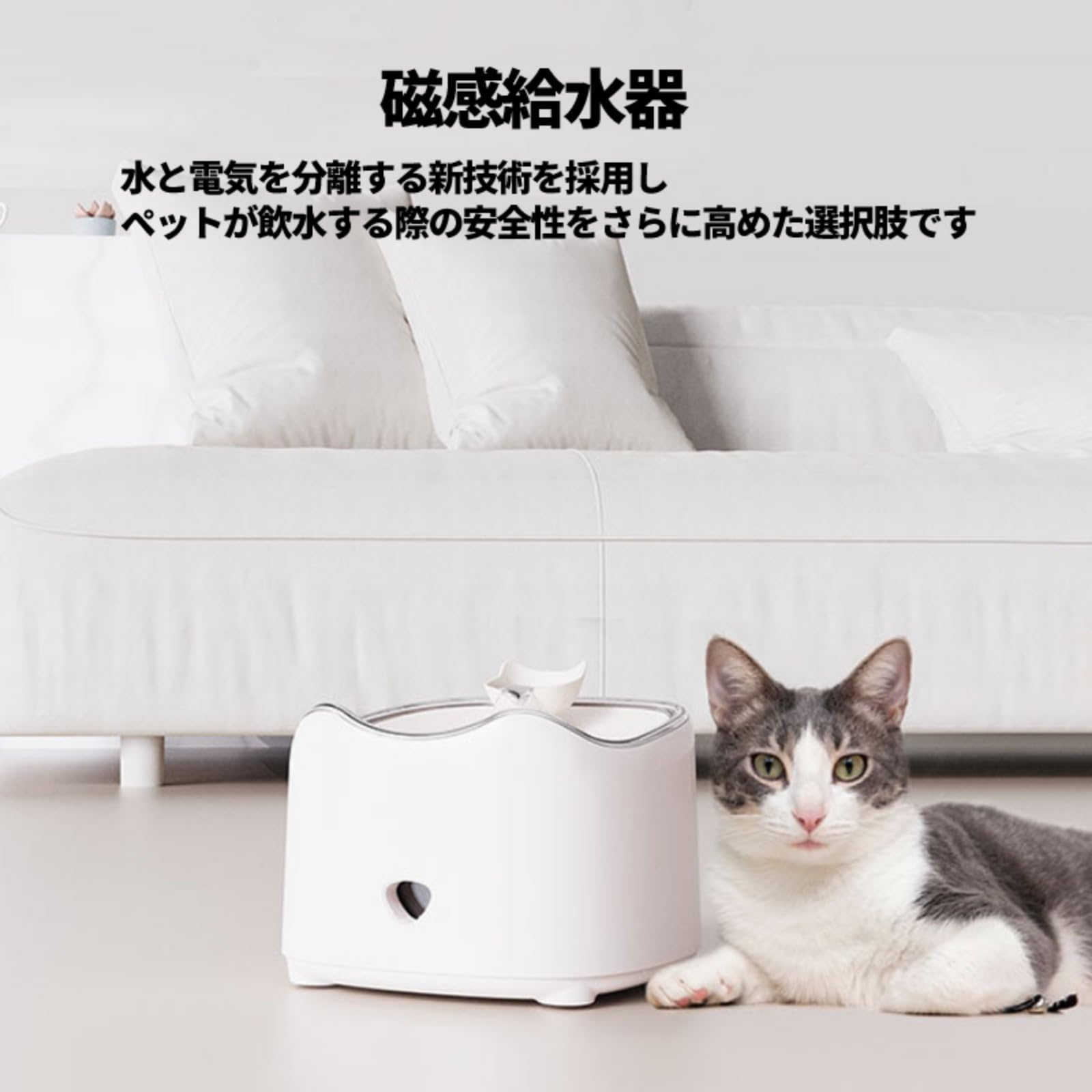 Amazon | Ohrin猫用自動給水器｜ポンプレス磁力給水 静音 20dB 以下