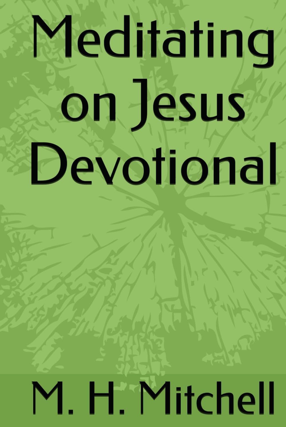 Meditating on Jesus Devotional