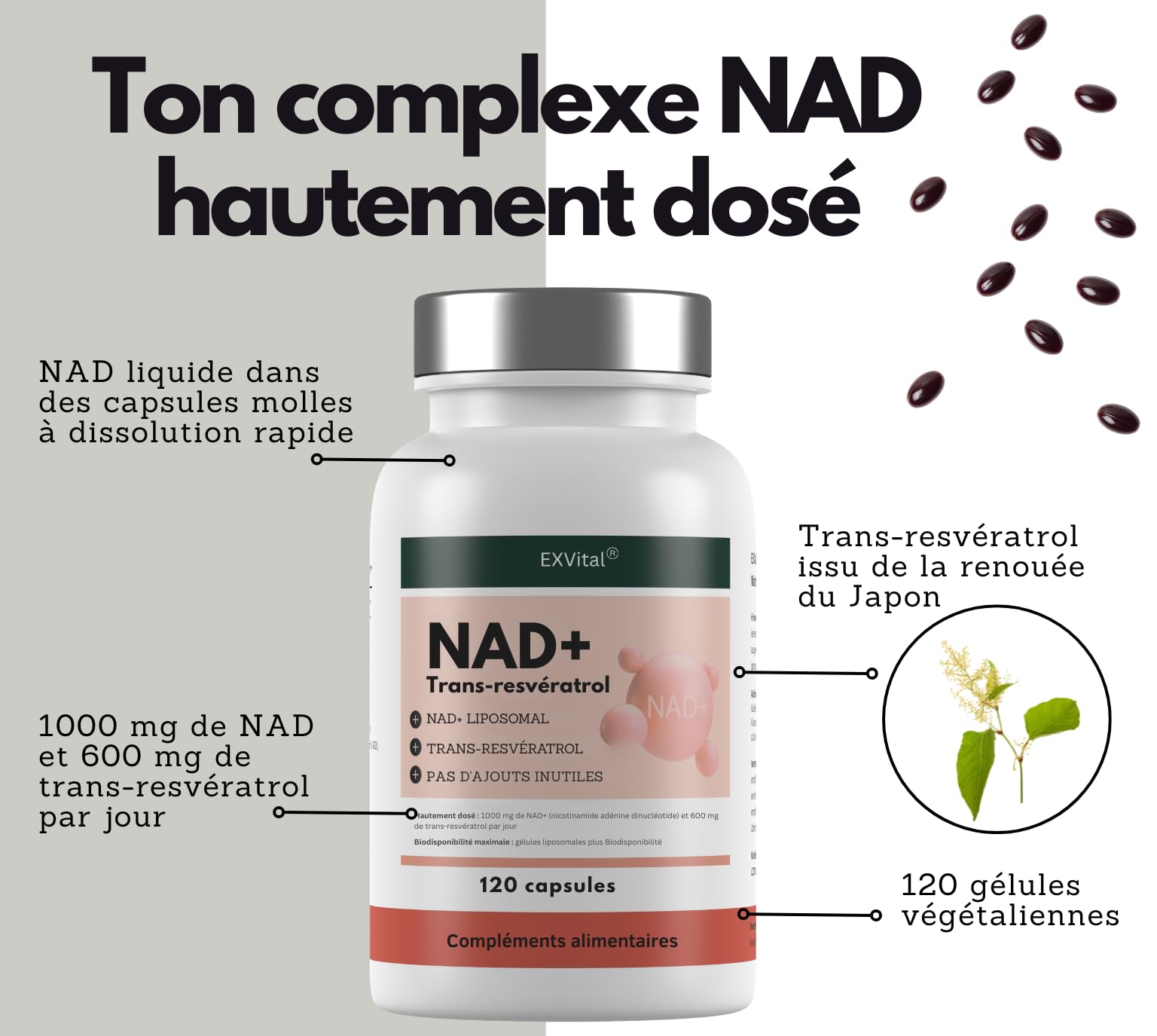 EXVital® NAD+, 1000 mg de NAD+ et 600 mg de trans-resvératrol par jour - 120 gélules végétaliennes - liposomales et biodisponibilité maximale, hautement dosées et testées en laboratoire