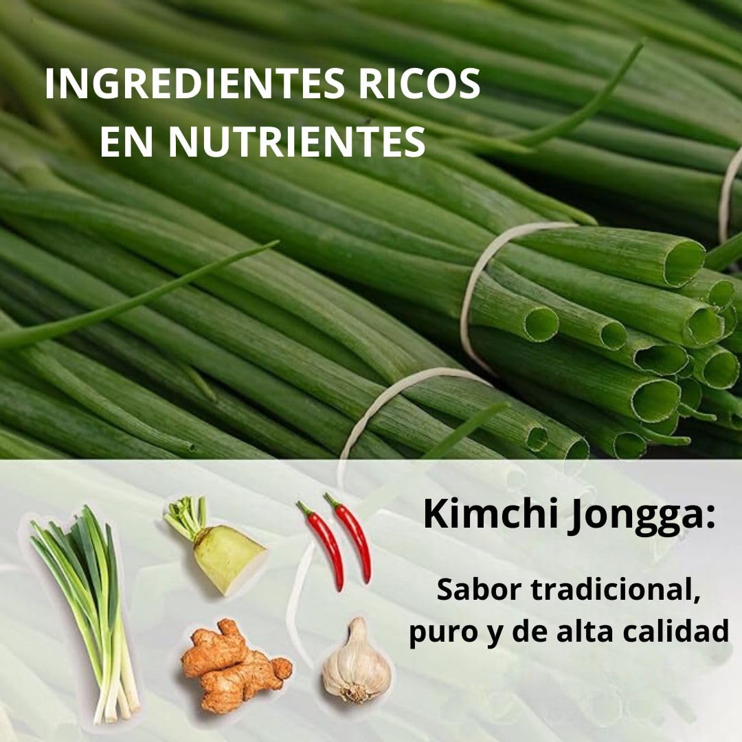 Jongga Kimchi Fresco De Rábano Picante 500g