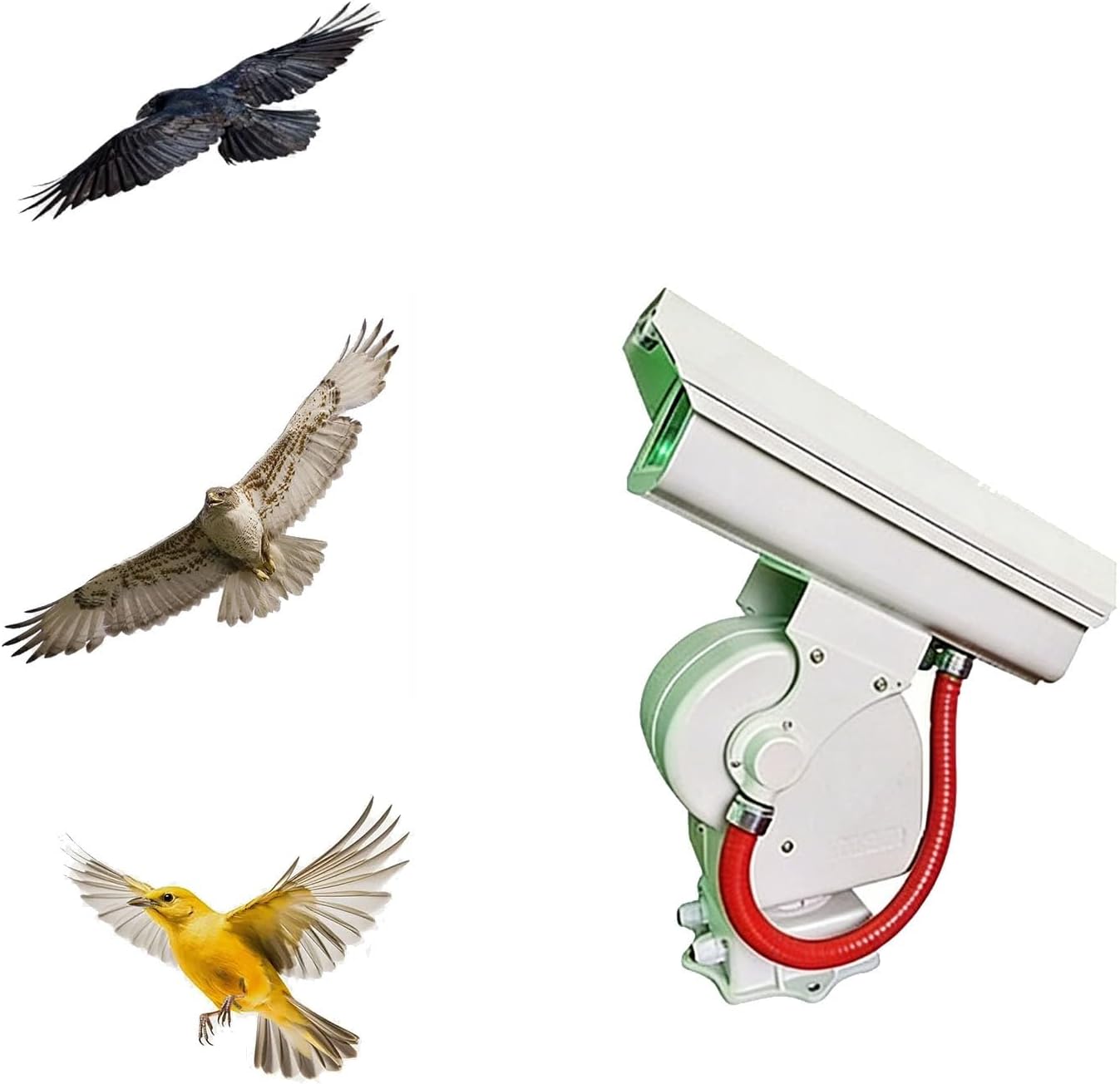 Automatic Bird Chaser Laser Deterrent, Bird Repellent Laser Devices, Automatic Bird Scarer with 360° Rotary for Chaser Pigeons, Sparrows.(A)