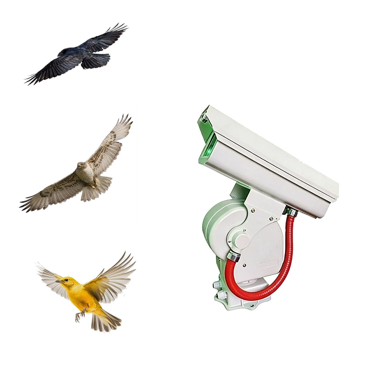Disuasivo láser automático for Cazadores de pájaros, Dispositivos láser repelentes de pájaros, espantapájaros automático con Giro de 360° for Palomas Cazadoras y gorriones.(A)