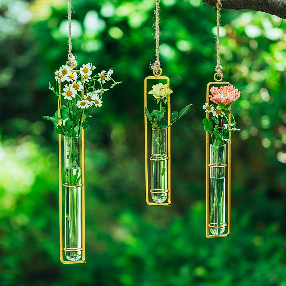 Sziqiqi Glas-Anzuchtstation Set – 3 Glasröhren Mit Juteschnur & Haken, Höhen: 22,5 Cm, 27,2 Cm, 32,5 Cm, Für Stecklinge & Hydrokultur