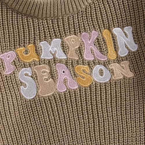 Toddler Knit Sweater Pullover Blouse Pumpkin Sweater Baby Girl Boy Winter Fall Clothes4
