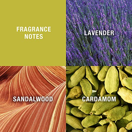 Men's Cologne Fragrance Spray By Curve, Spicy Wood Magnetic Scent For Day Or Night, 6.8 Fl Oz #TOP1