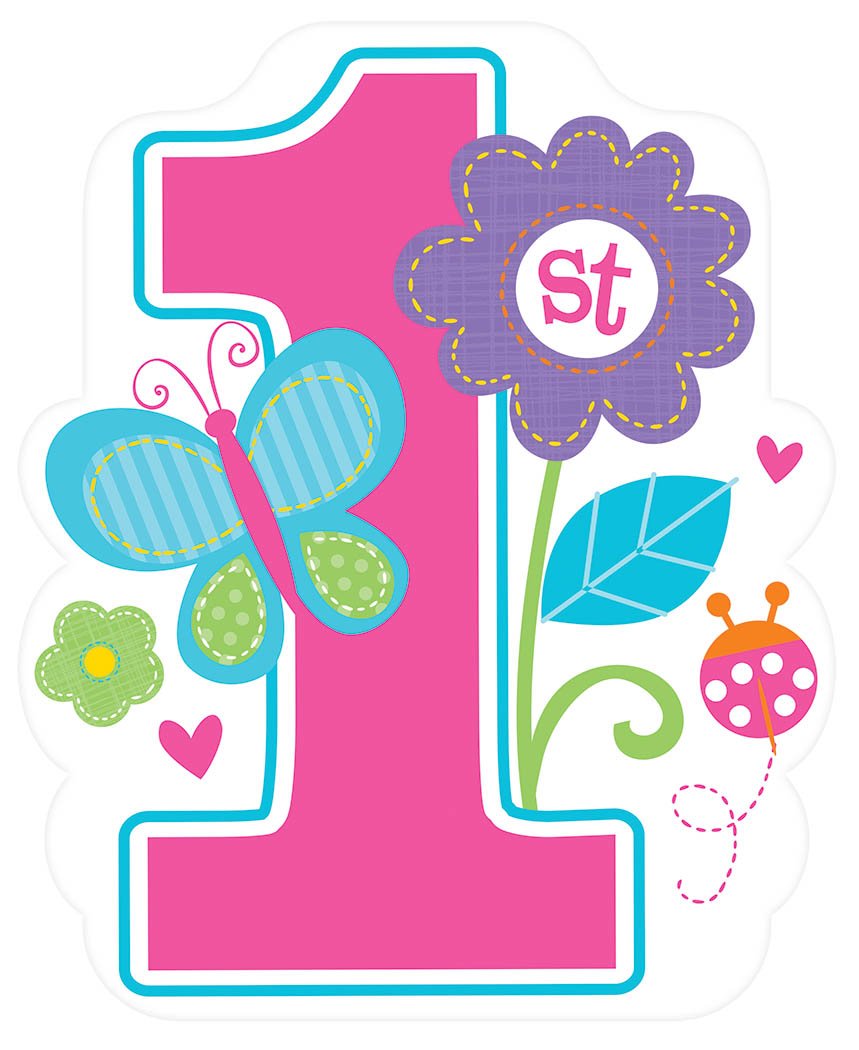 Flowers and Butterflies Girl s 1st Birthday Party Value Pack Cutouts, 12 Pieces, Made from Paper, Pink, 7