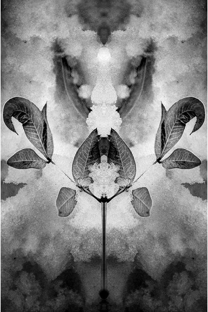 Chill Factor Unframed Art Print Giclee Poster by Carbonetti, Kathy - Ready for Framing with Customization Sizes 7x10, 9x14, 13x20, 24x36, 32x48, and 40x60 Inches
