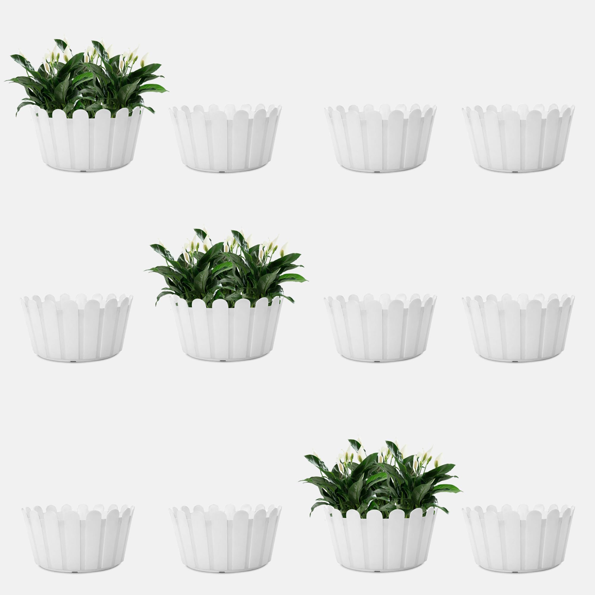 YUCCABE ITALIA SHERA Fence KTR 10 INCH Plastic Flower Pots for Home Decoration Pack of 12 Piece Planters for Balcony Indoor Outdoor Pots for Plants (White) (B09WMMFD64) Amazon Price History, Amazon Price Tracker