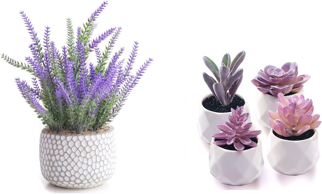 CADNLY Fake Succulent Plant Set Artificial Succulent Plants for Women Desk