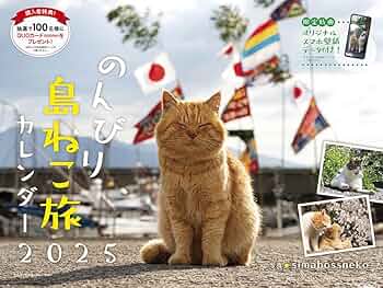 【ねこツーカレンダー】特典B ねこツーカレンダー】特典B 61GTYCVwpfL._UF350,350_QL50_.jpg