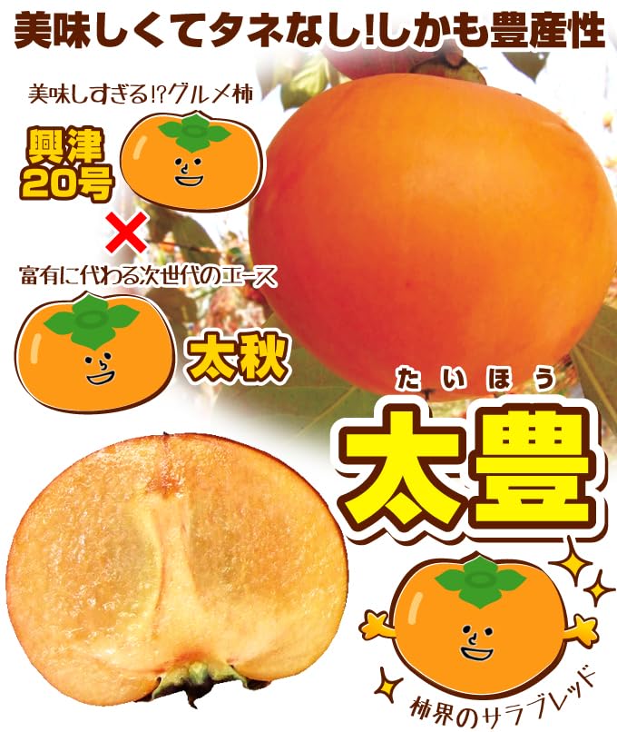 Amazon.co.jp: 果樹苗 カキ 完全甘柿 太豊PVP【興津20号×太秋】 1株