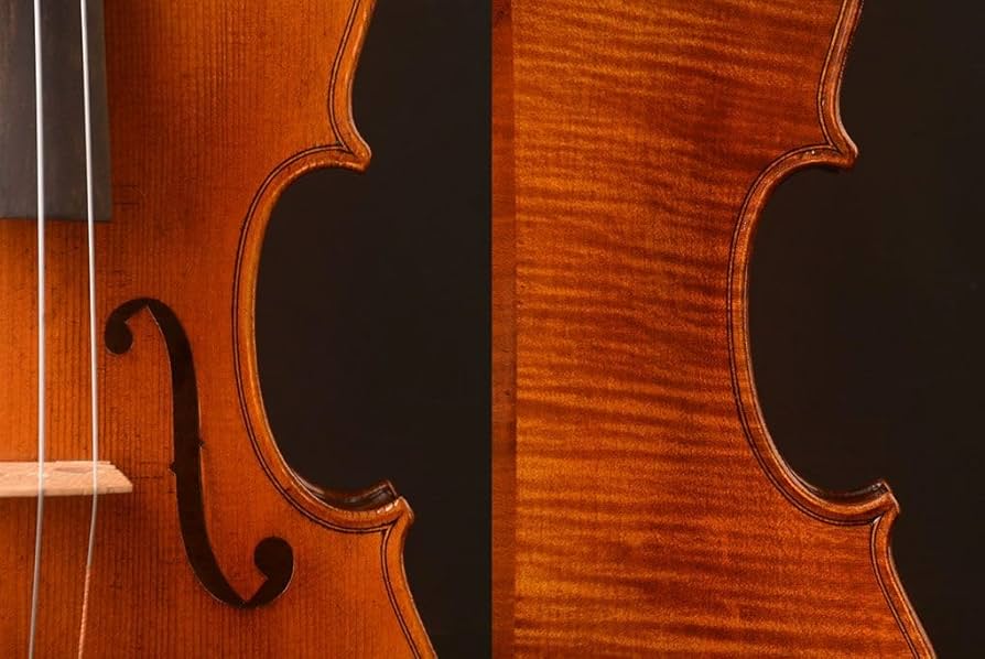 Amazon | ARTIGIANO&VIOLIN ビオラ 15インチ LiuXi工房 上位モデル