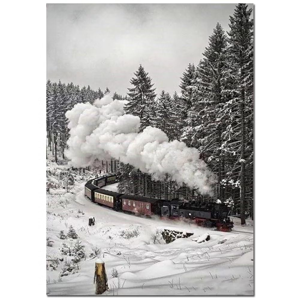 OKIKA Adultos/Niños Cuadros Diamantes 5D Paisaje Nieve DIY Diamond Painting Kit Completo, Pintura de Diamante, Pintar Por Numeros, Diamond Dainting Personalizado Para Decoração de Paredes 36x72in