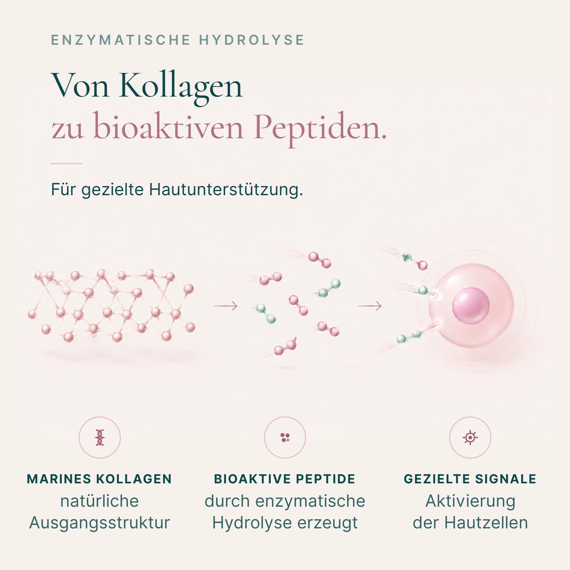 Kollagen Institut Polvere di collagene marino - 450 g (90 porzioni), peptidi di collagene bioattivo ad alto dosaggio, idrolizzato di collagene marino puro di alta qualità, polvere di collagene