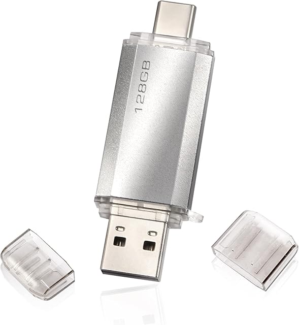 USB C Flash Drive 2 in1 128GB , Type C Memory Drive 128GB USB C Flash Drive 128GB 2-in-1 OTG Penna USB 128GB per PC/Tablet/Laptop/Smartphone con Tipo C, Xiaomi/Oneplus (Silver)