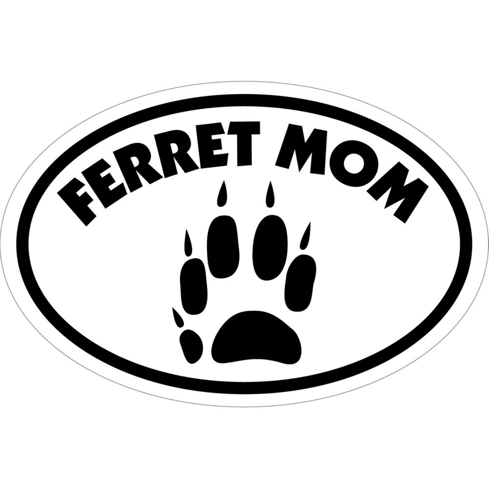 Ferret Mom Oval Magnet by Pet Gifts USA