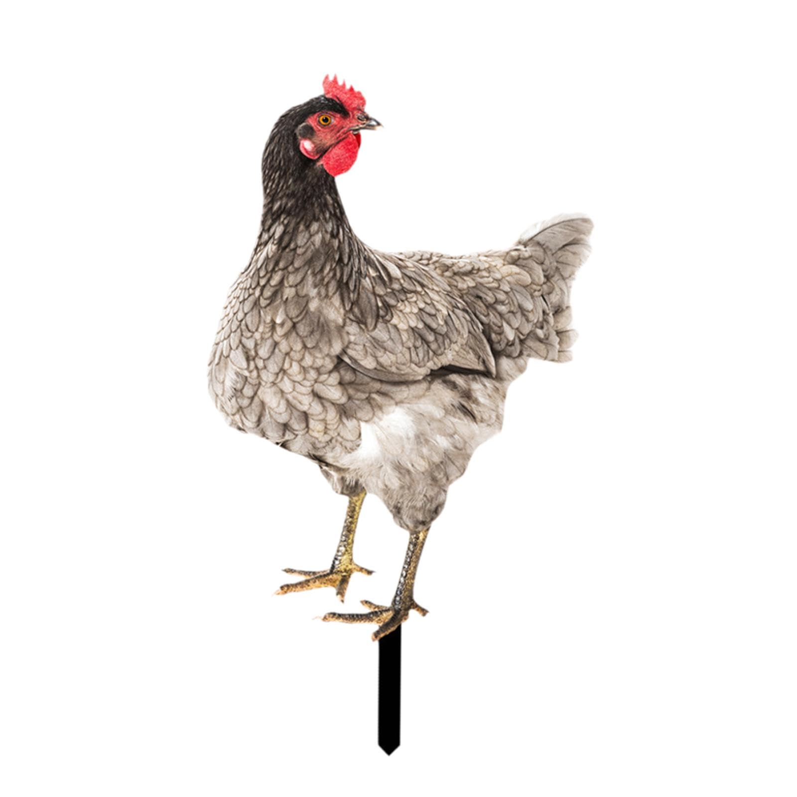 Chicken Garden Statue Stake Hen Lawn Ornament Gift Outside Rooster Yard Arts Style D-image-23