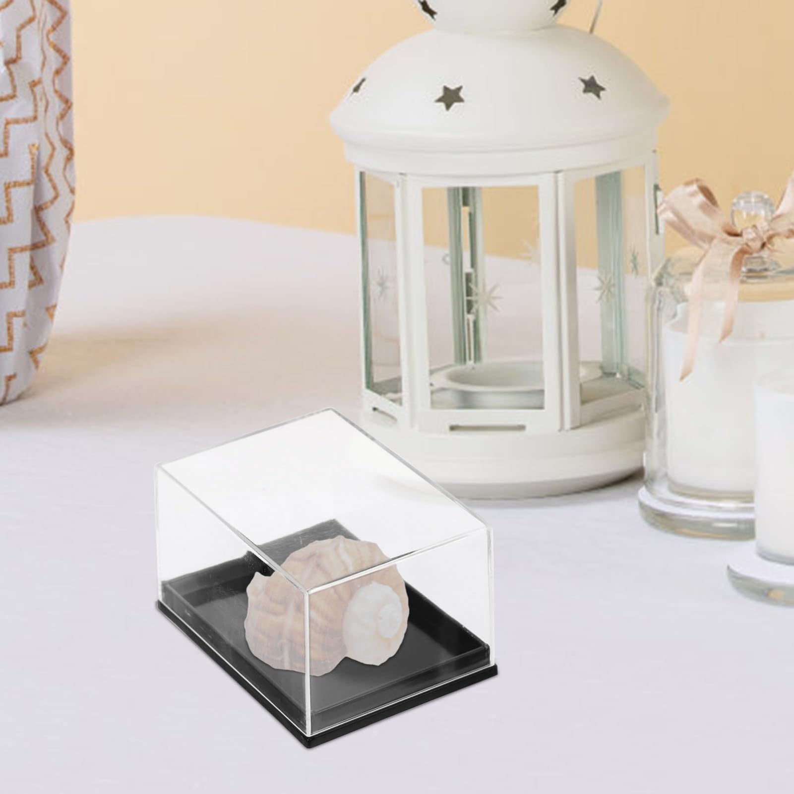 MUCKLILY Pcs Display Box for Stones Mini Specimen Storage Case Sample Organizer for Rocks Plastic Rock Container