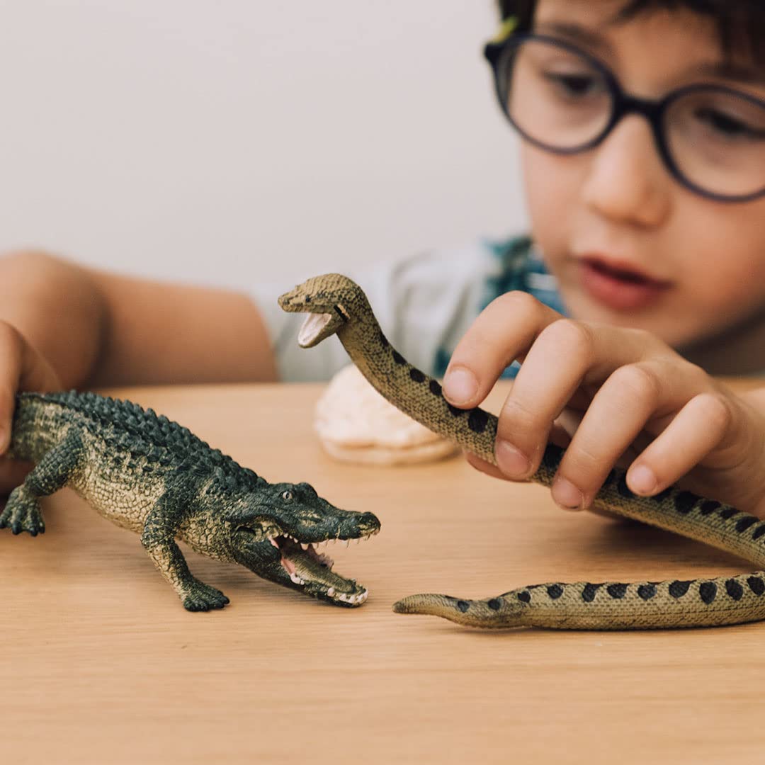 Amazon.com: Schleich Wild Life 5-Piece Wild Animal Toy Playset for Boys and  Girls Ages 3+, Danger in The Swamp with Alligator and Snake : Toys & Games
