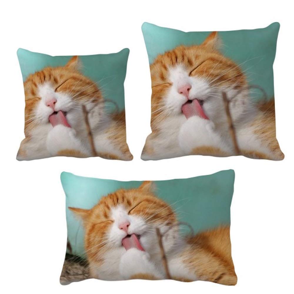Housse de coussin chat au motif joyeux pour égayer la maison