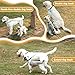 PETTOM Heavy Duty 2 Way Dog Lead Metal Chain Double Pet Clip Leash Coupler 360° Swivel No Tangle Double Dog Walking & Training Leash(S 3.0mm*50cm Double Leash, Silver)