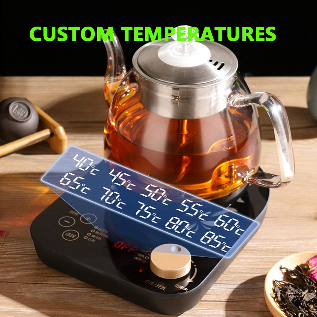 YXCKG Hervidores Eléctricos, Tetera, Tetera para Té A Granel, Base 360º, Filtro Antical, Hervidor De Agua Eléctrico Pequeño, 10 Configuraciones De Temperatura, Capacidad De 800 Ml