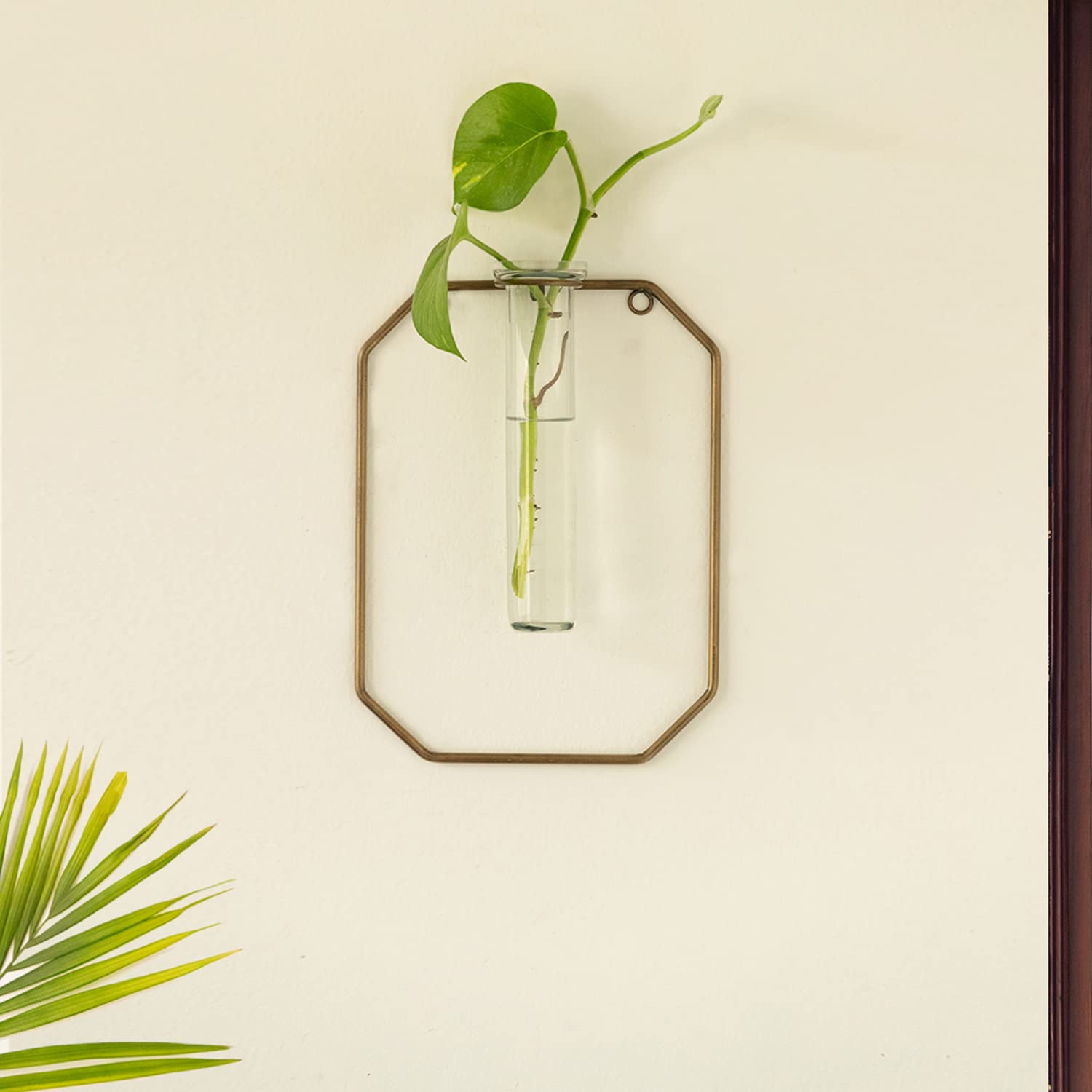 ExclusiveLane Modern Glass Garden Test Tube Planter for Home Décor (9 Inch, Golden) | Wall Test Tube Vase for Flower Decoration with Iron Stand (B0C3MLNXQQ) Amazon Price History, Amazon Price Tracker