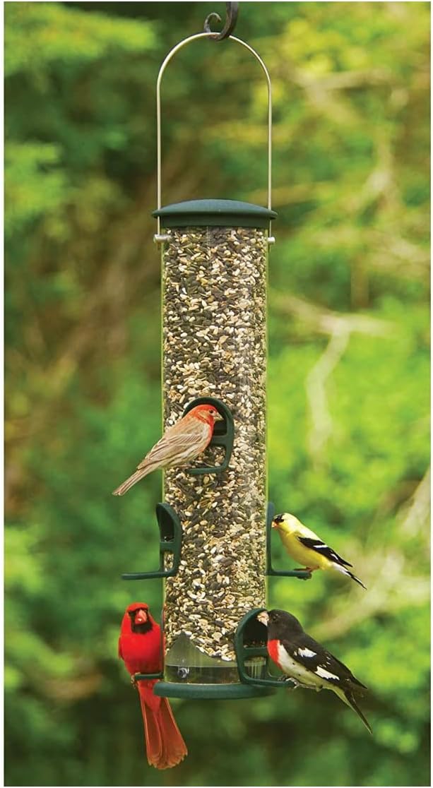 Aspects 421 Spruce Quick Clean Big Tube Feeder, Large, Green