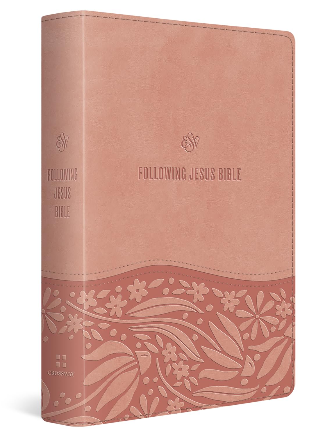 ESV Following Jesus Bible - 9798874900151