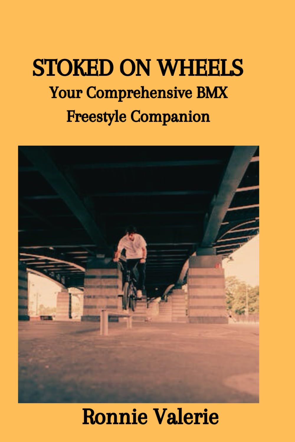 STOKED ON WHEELS: Your Comprehensive BMX Freestyle Companion