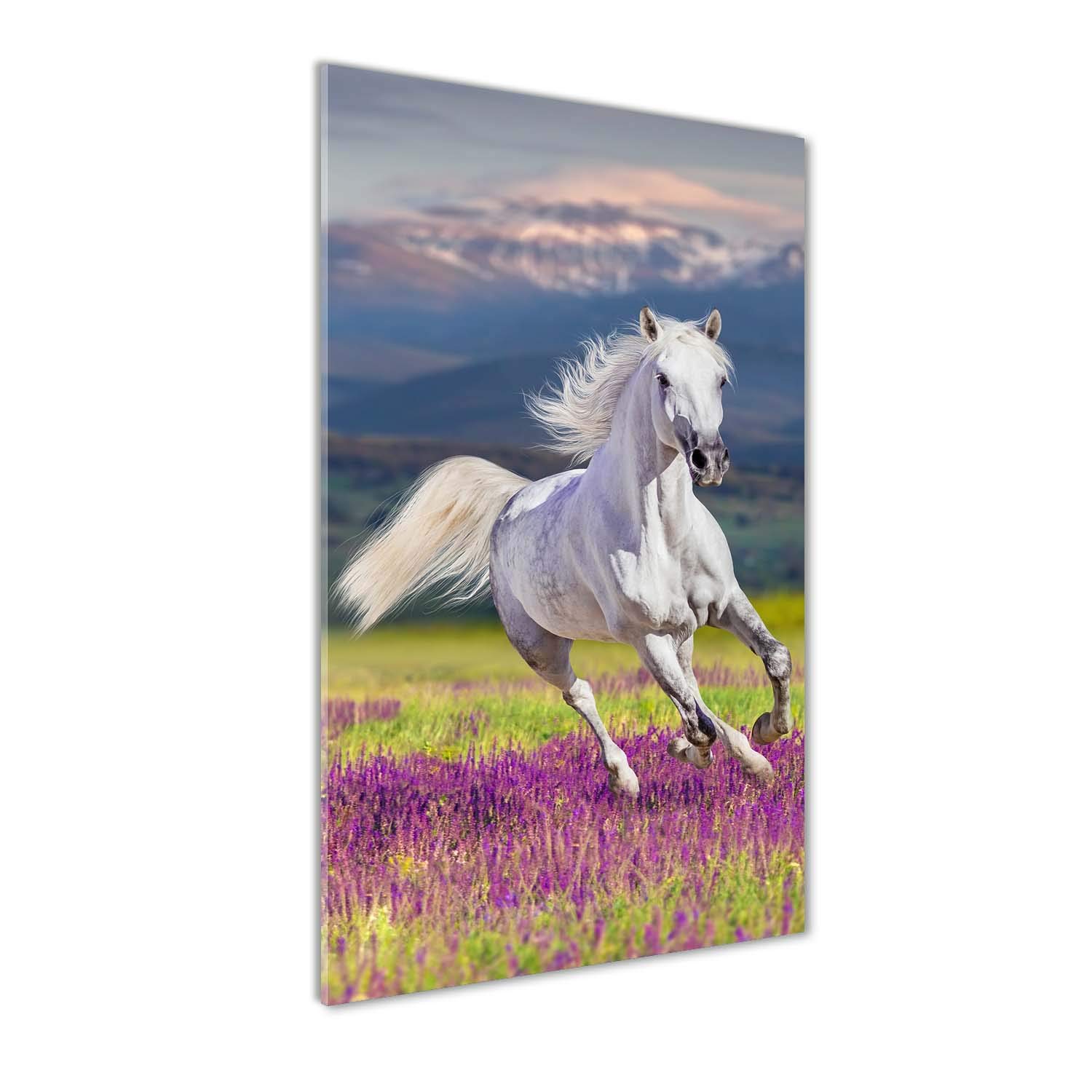 Tableau plexiglas cheval blanc 70x140 - Ne ternit pas, déco murale acrylique lumineuse Tulup