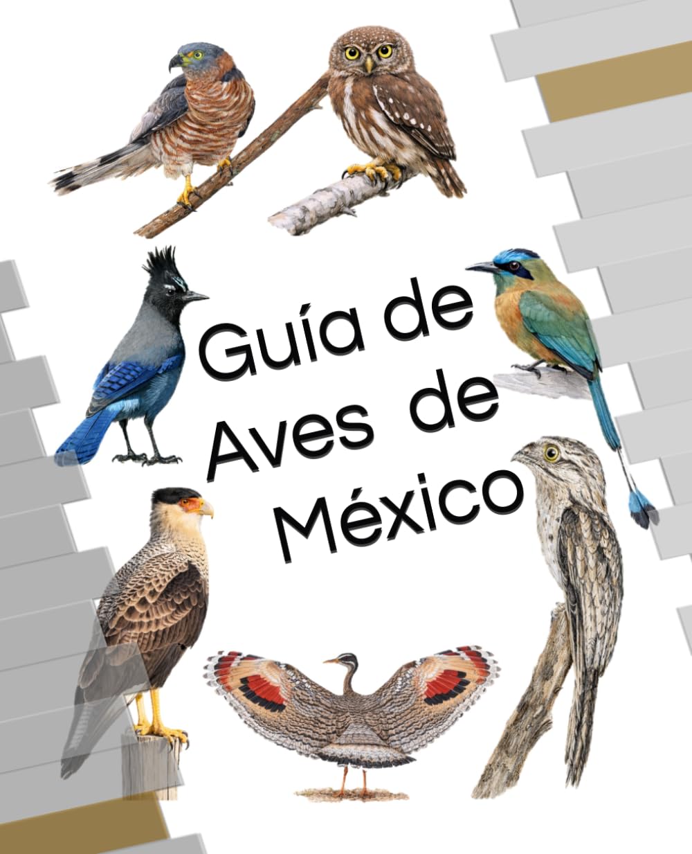 Guía de Aves de México