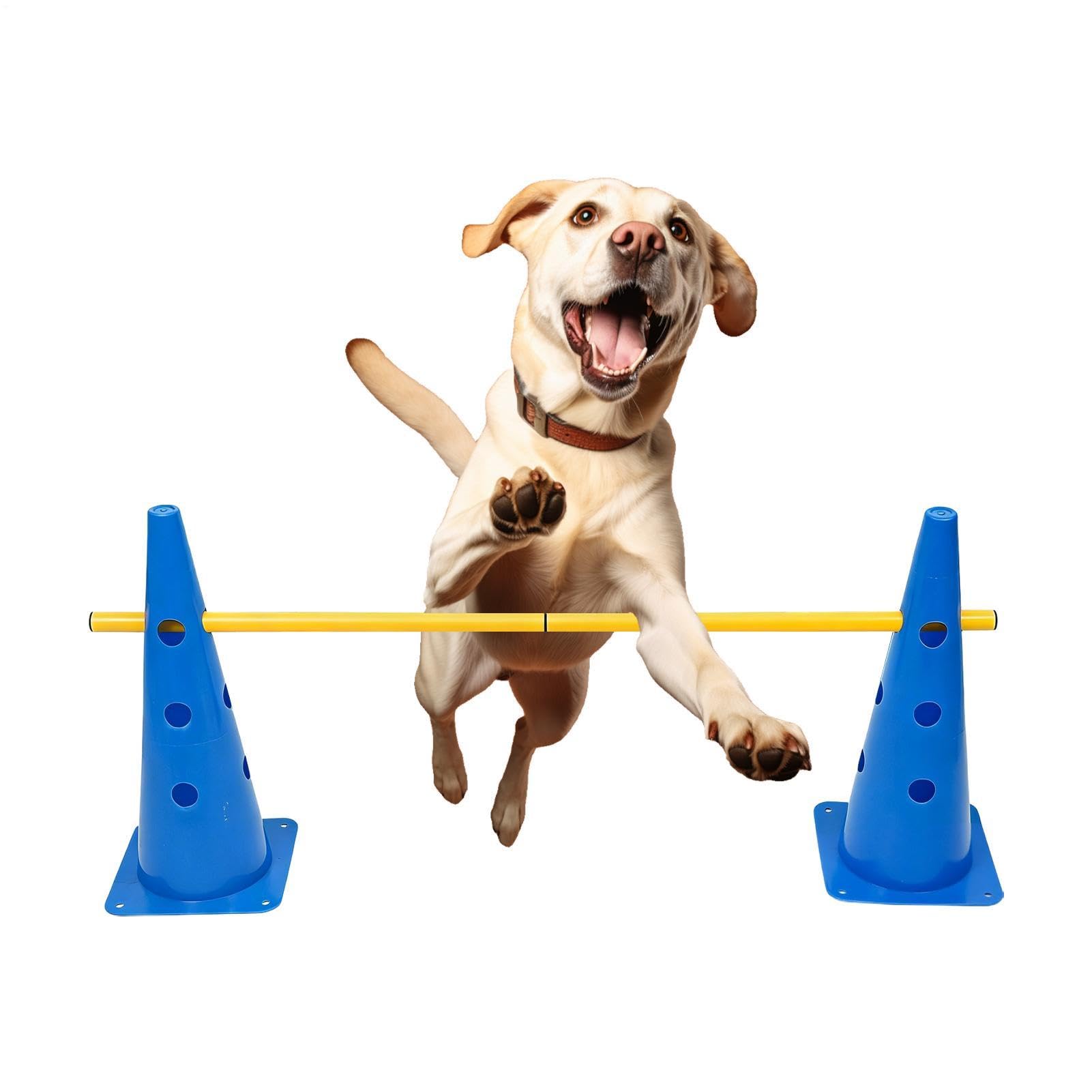 Sprzęt do treningu agility dla psów Przenośne akcesoria dla pupili | Sprzęt agility na zewnątrz dla małych psów dla Szczeniaka i na Zawody Zabawę Ćwiczenia w Domu na Zewnątrz w Parku