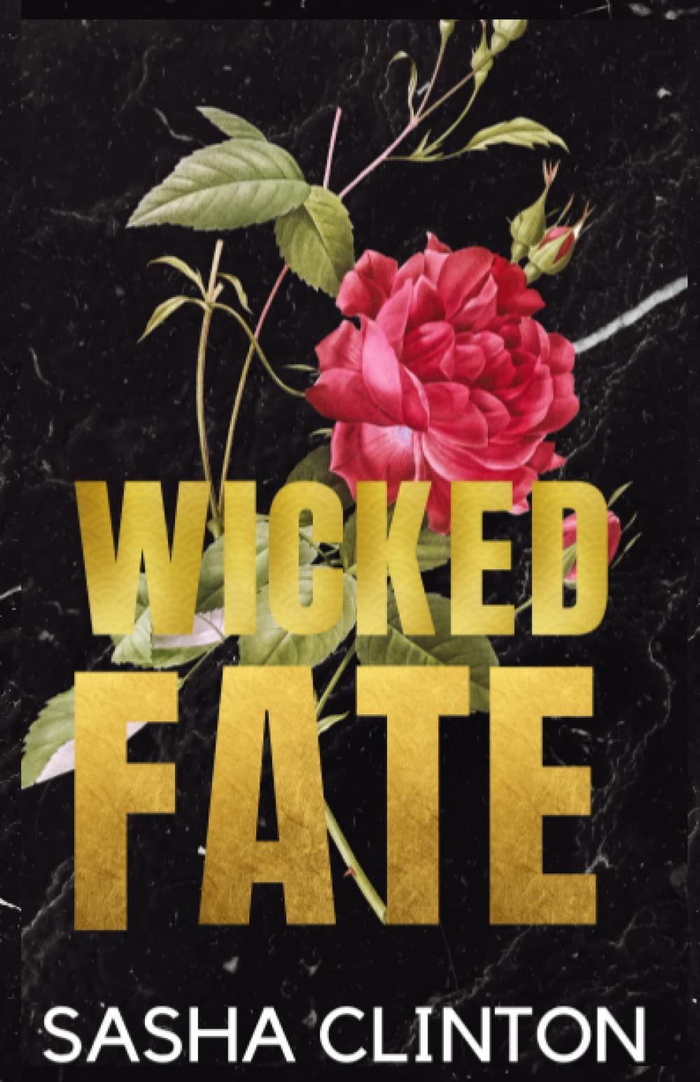 Wicked Fate (Wicked Men)