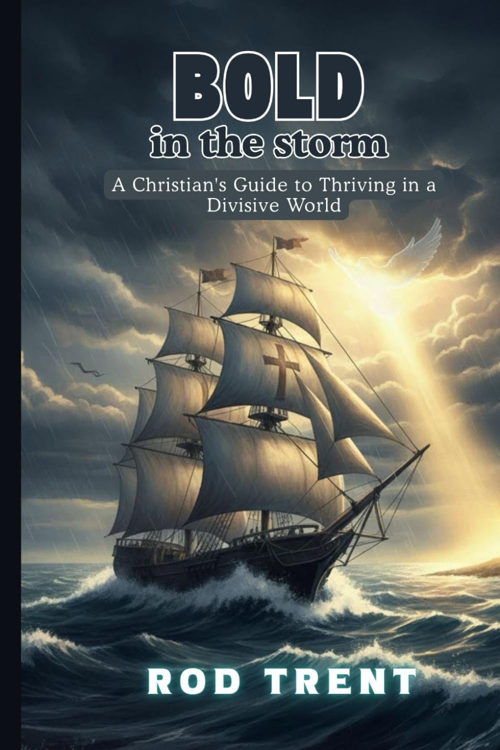 Bold in the Storm: A Christian's Guide to Thriving in a Divisive World (Divine Design Devotionals)