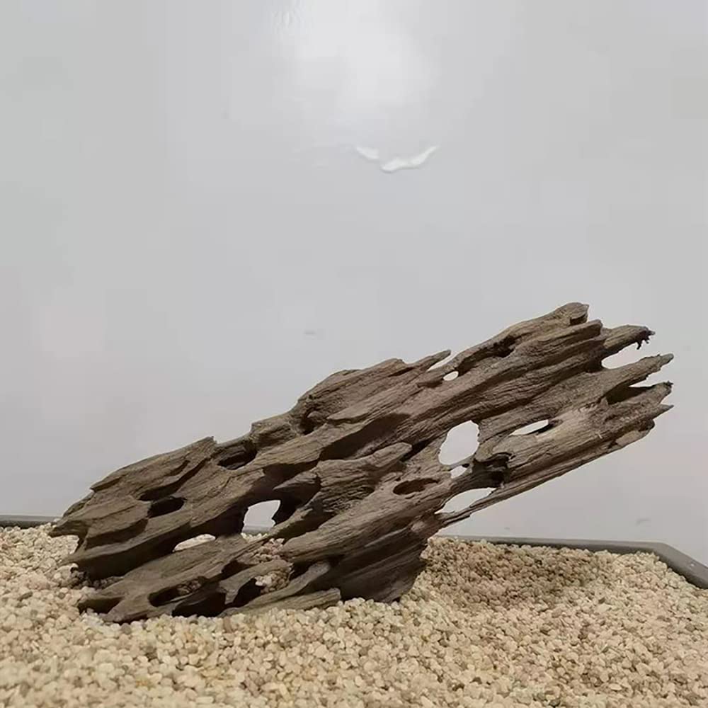 流木のオブジェ・リトルドラゴン