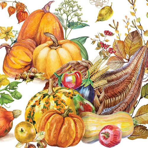 Michel Design Works Cotton Chef Apron, Pumpkin Prize #TOP1