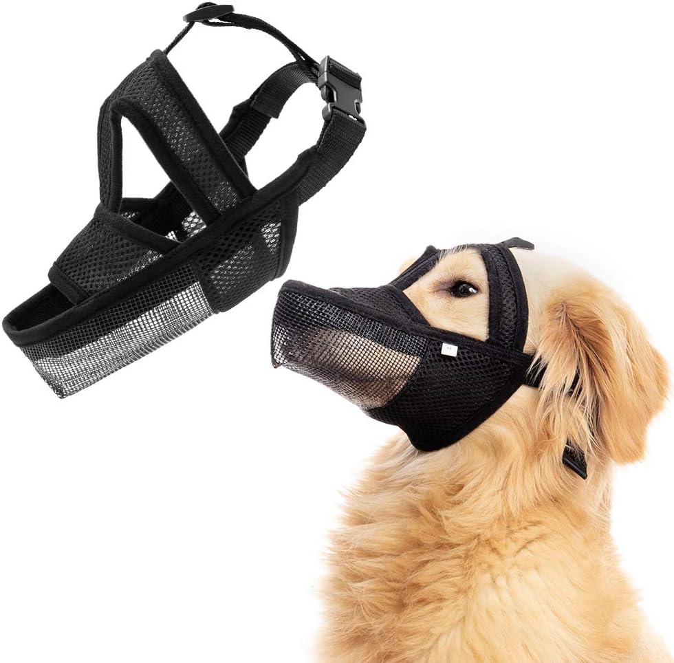 thin dog muzzle