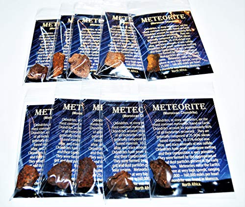 Fossils, Meteorites, & More Moroccan Chondrite Stony Meteorite - Lot of 10 - Size (M) 4 to 10 Grams
