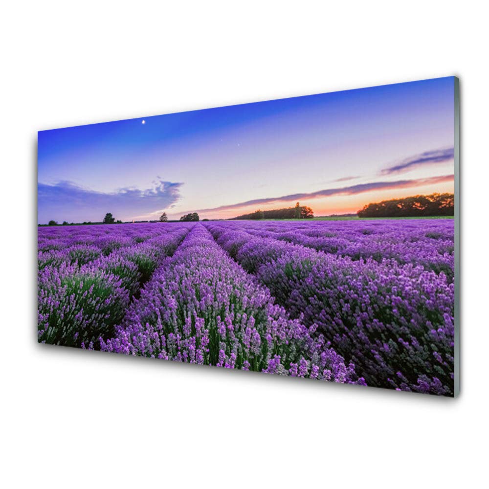 Impression sur Verre Trempé 100x50cm Tulup - Tableau Déco Mural Moderne Meadow Fleurs Nature