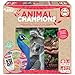 Produktbild Educa Borrás Planeta Erde Champions, Familienspiel aus 100 % recycelten Materialien mit 480 Tierfragen ab 7 Jahren (18708)
