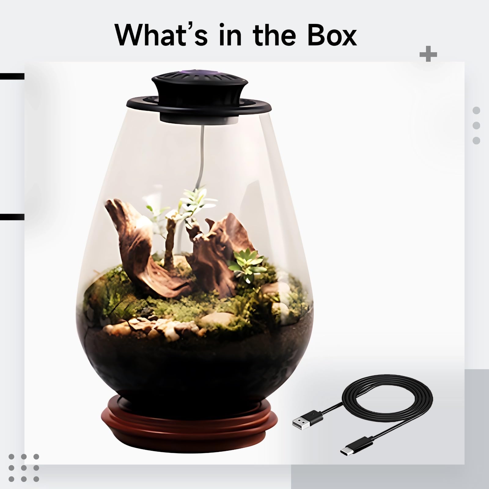 Szklane terrarium na rośliny z oświetleniem UFO LED, ekosystem biurkowy z mchem, 5 V, 2 A, czarne światło, do biura i wystroju domu, w zestawie butelka ociekowa i kabel typu C