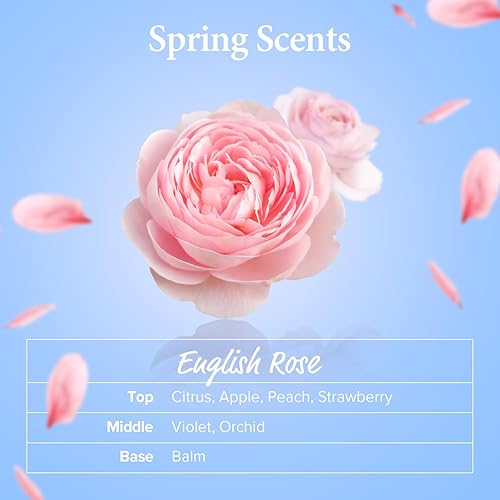 Miniatura 4 de Kundal Honey&Macadamia Hydro-Intensive Protein Premium Nature Hair Shampoo English Rose Sin sulfato, aceite de macadamia para el cuidado de hiar