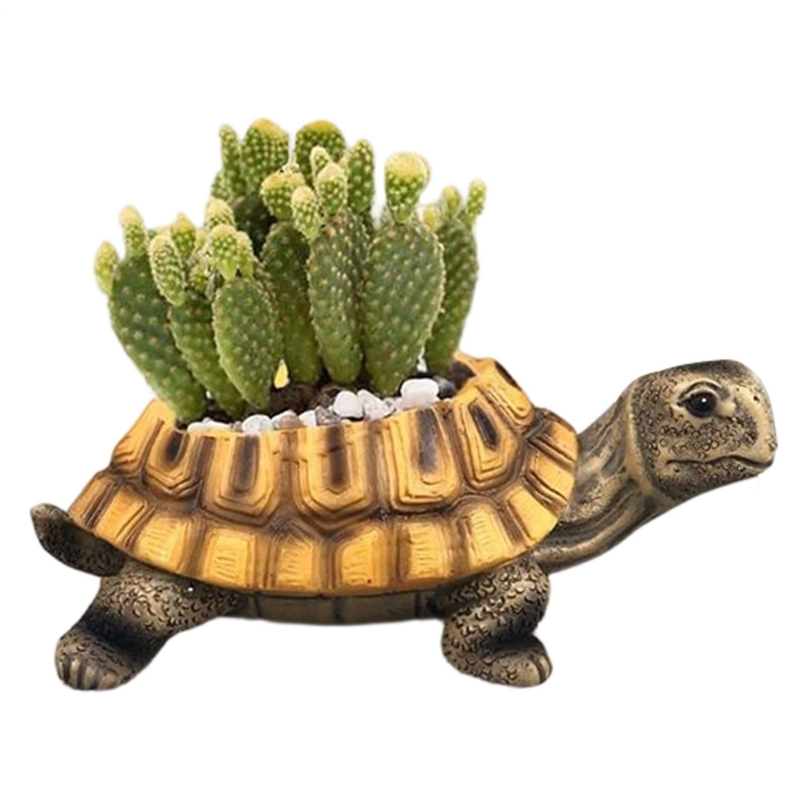 Pot de fleurs tortue petit contenant stable pour éviter les chutes sur le bureau