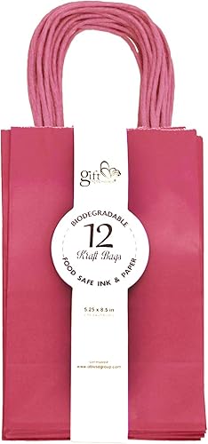 12 bolsas sólidas de papel Kraft, S, Hot Pink, 12