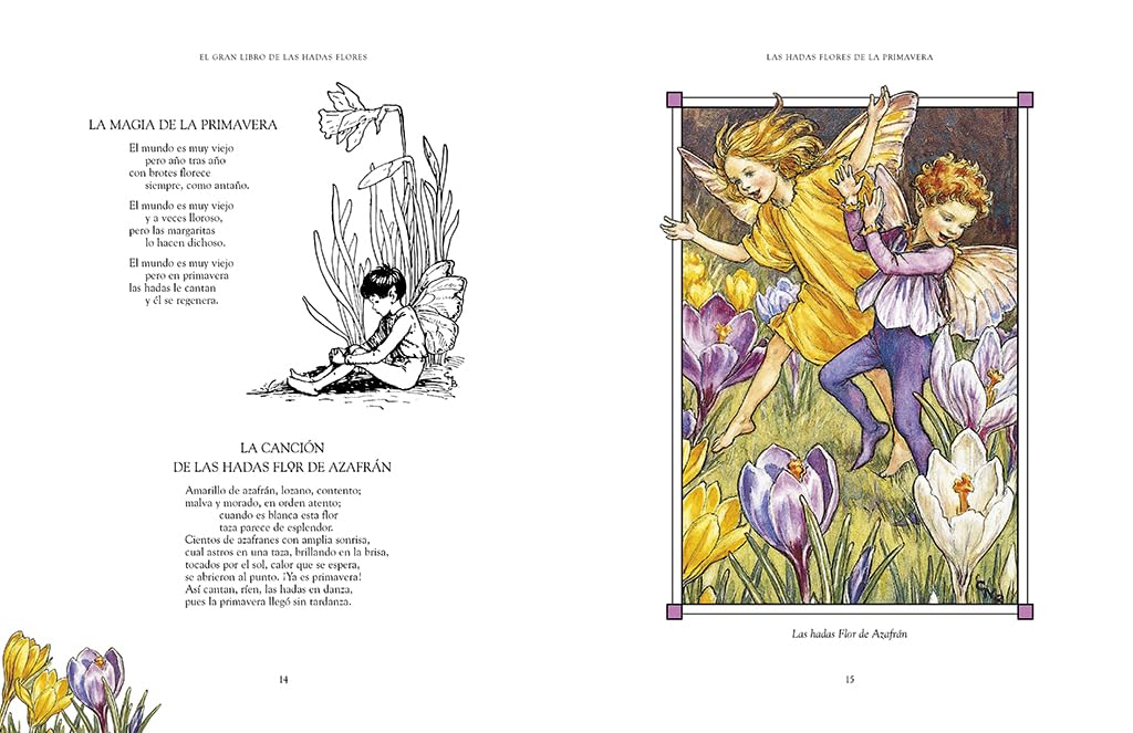 El gran libro de las Hadas Flores (Montena)