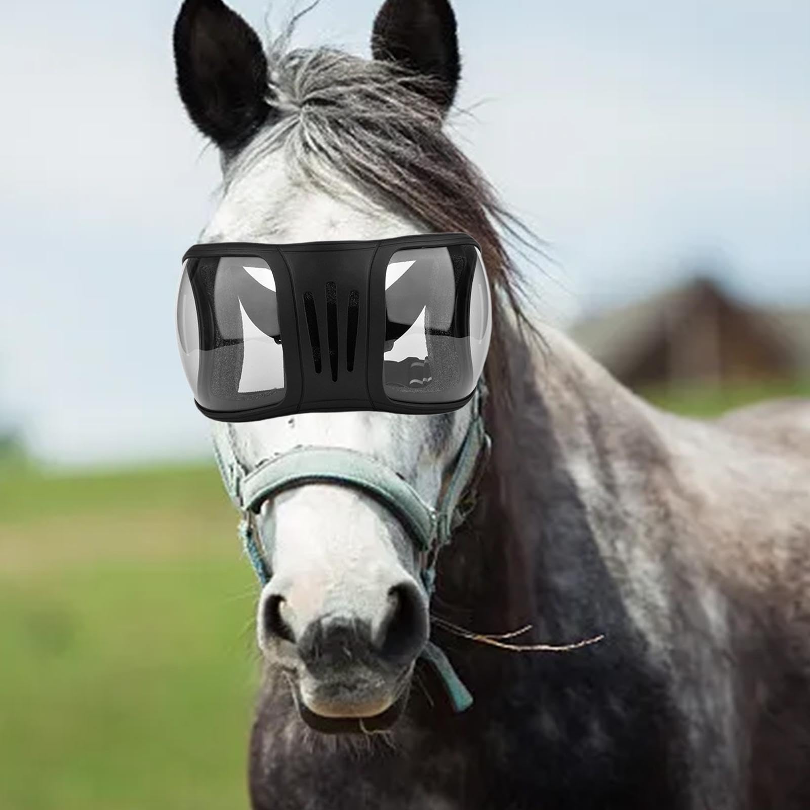 Protección Ocular para Caballos, Gafas de Protección Ocular Resistentes Al Viento, Gafas de Carreras para Caballos, Gafas de Salto Ecuestre.