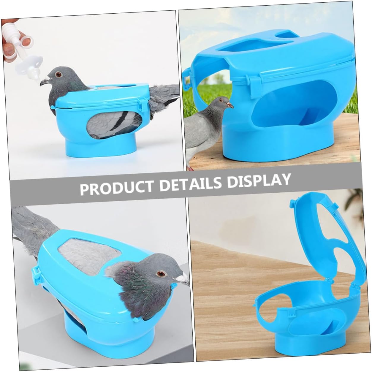 6pcs Practical Pigeon Supplies Birdcage Accessories Pigeon Tabs Holder