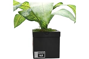 Nike Plant Pot Planter Box - 3D Printed - Sneakers Box Decor