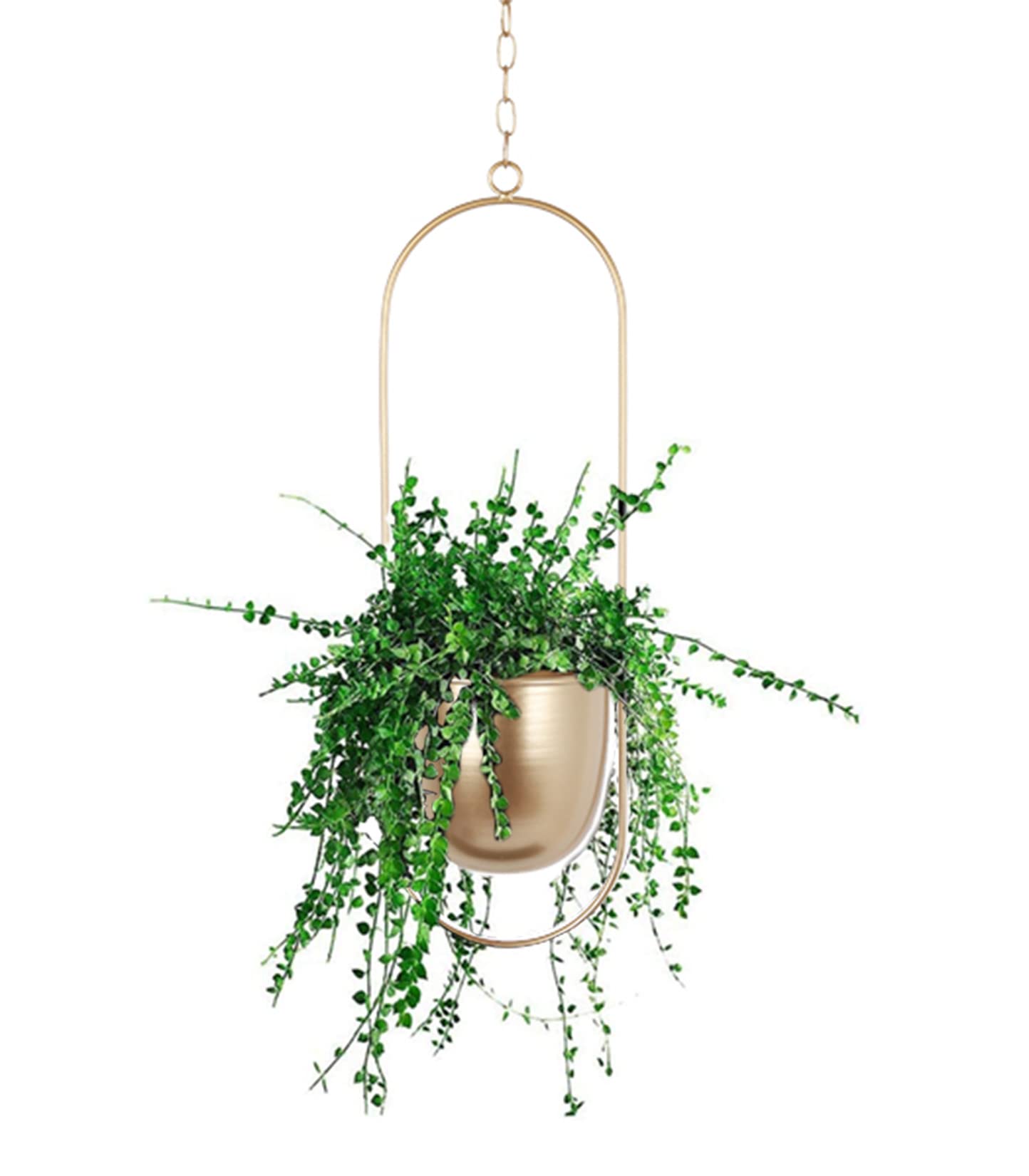 Vaso da fiori sospeso in metallo da appendere a fioriera sospesa, vaso decorativo in metallo (oro ovale)